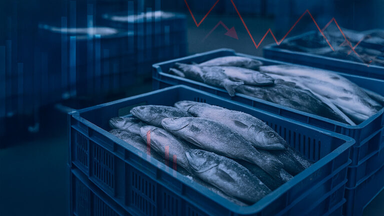 Tariff Uncertainty Continues to Weigh on U.S. Seafood Importers